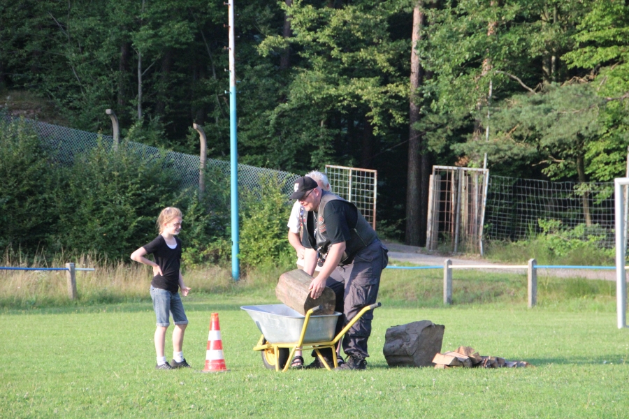 hambach2014-235