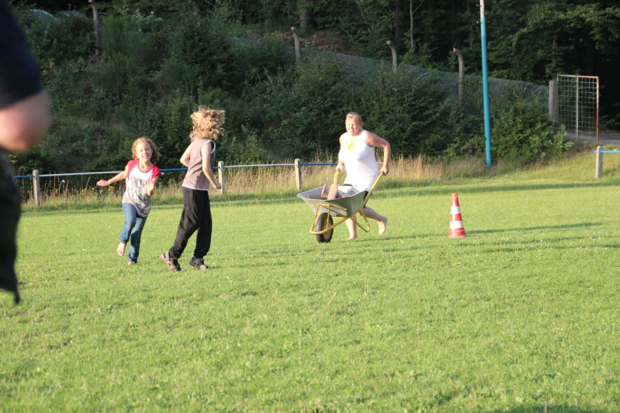 hambach2014-245