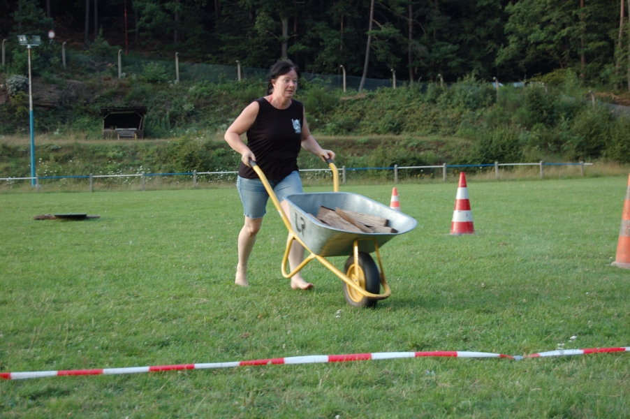 hambach2014-361