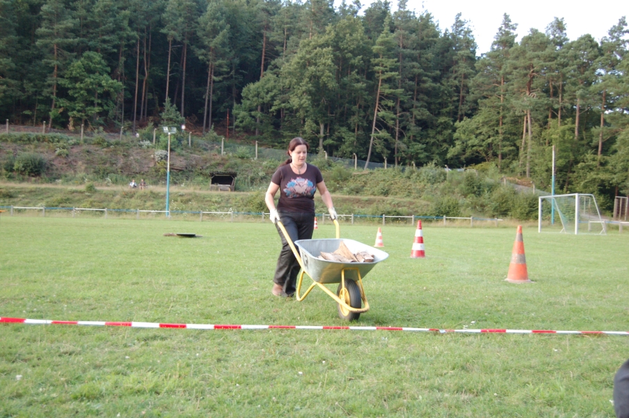 hambach2014-364