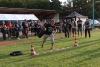 hambach2014-322