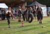 hambach2014-328