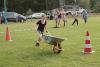hambach2014-332