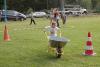 hambach2014-339