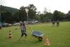 hambach2014-365