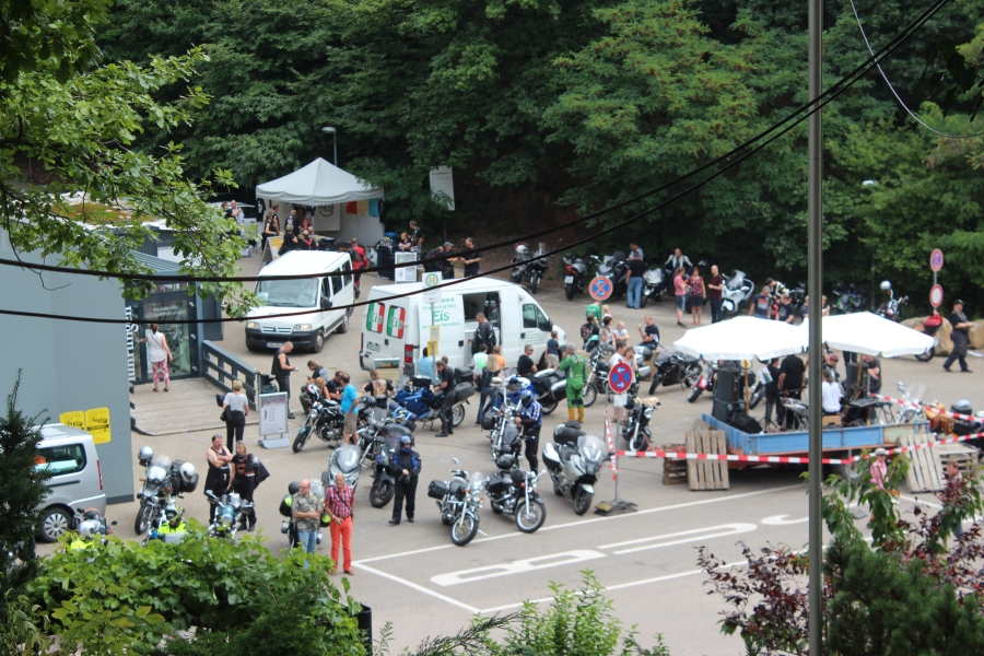 hambach2014-411