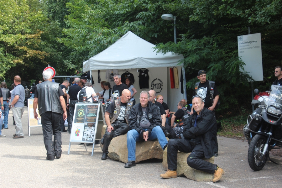 hambach2014-414