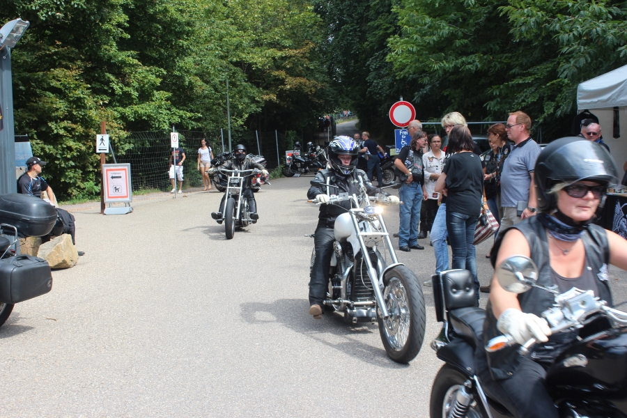 hambach2014-416