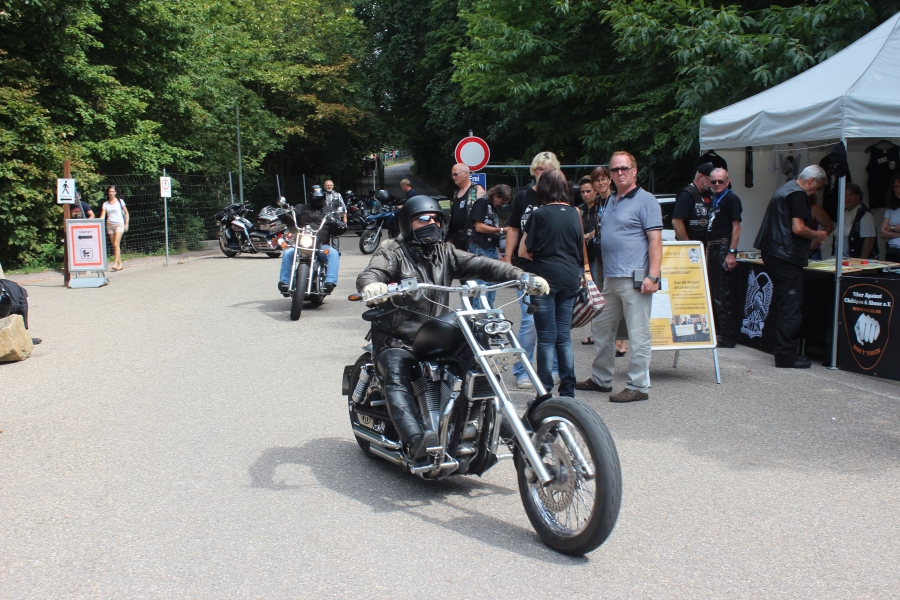 hambach2014-417
