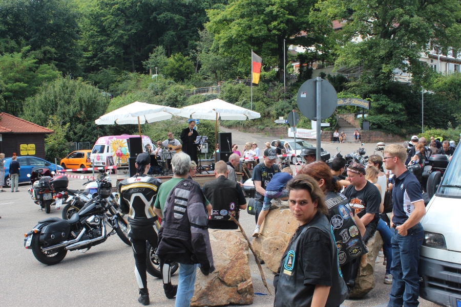 hambach2014-418