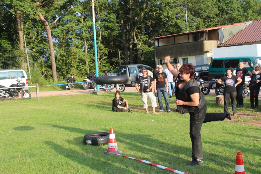 hambach2014-439