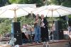hambach2014-419
